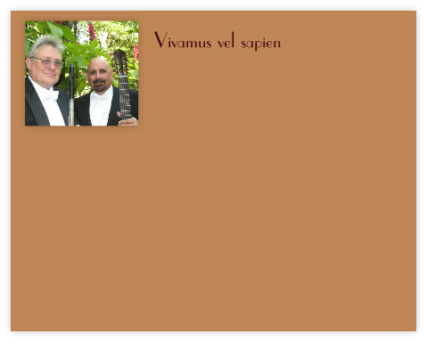 Vivamus vel sapien
